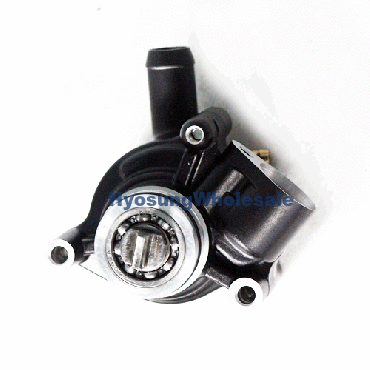 Genuine Daelim Water Pump VJF250 VL250